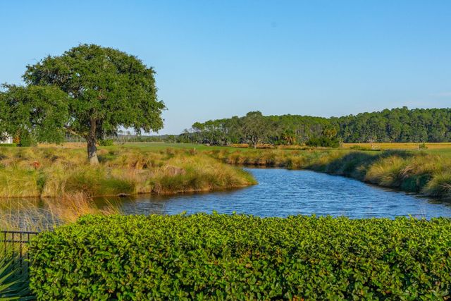 250 Furman Farm Place, Charleston, SC 29492