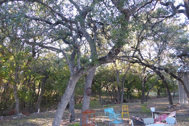 1884 Live Oak, Canyon Lake, TX 78133