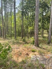 0 Elderberry Drive, Daphne, AL 36526