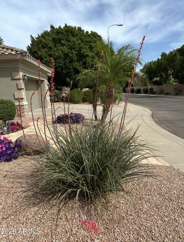 1050 N KRISTIN Lane, Chandler, AZ 85226