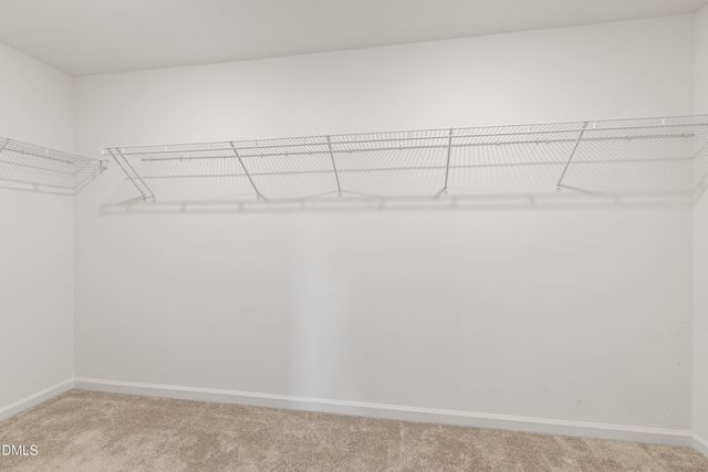 7508 Frasier Fir Place, Willow Springs, NC 27592