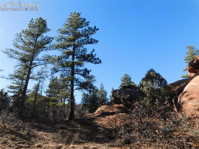 6294 Troon Court, Larkspur, CO 80118