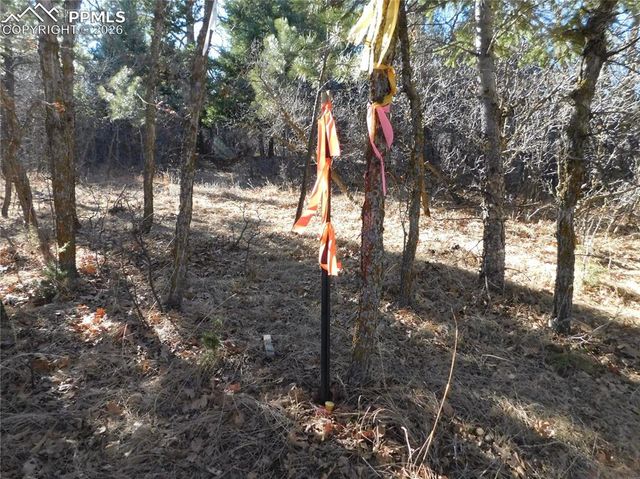 6294 Troon Court, Larkspur, CO 80118