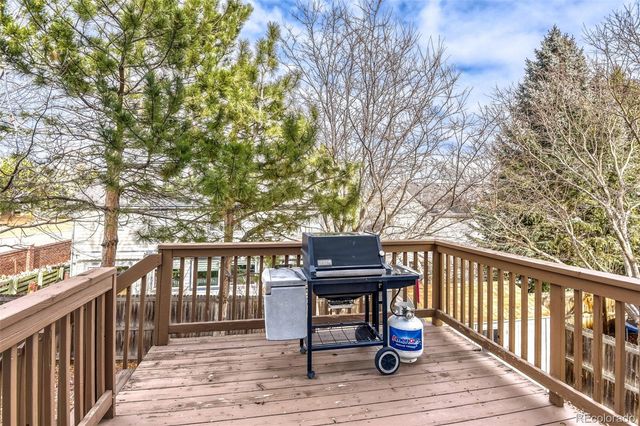 10091 Astoria Court, Lone Tree, CO 80124