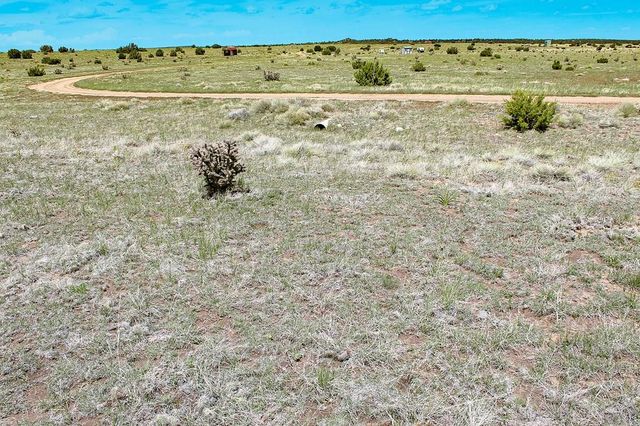 25 La Deora Blvd, Walsenburg, CO 81089