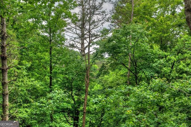 514 Shenendoa Drive, Ellijay, GA 30540