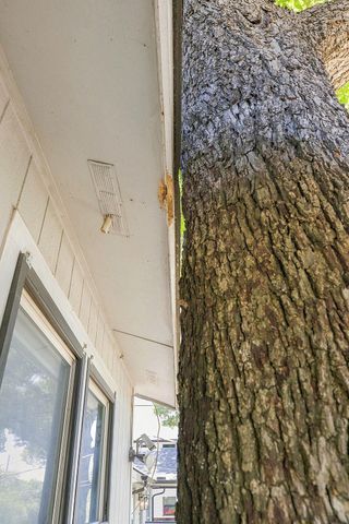 4414 Jinx Ave, Austin, TX 78745