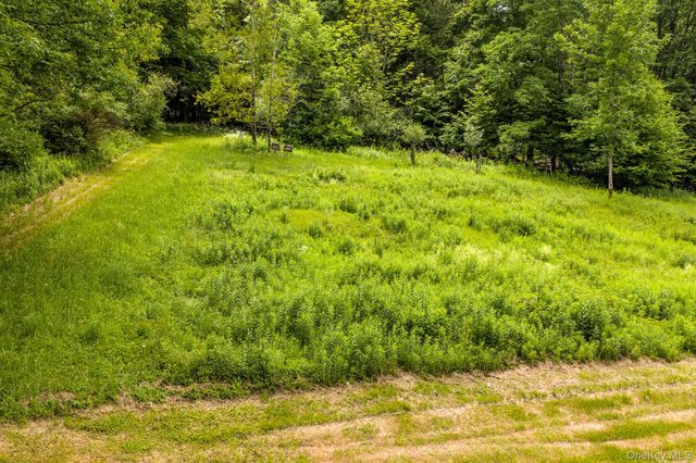 673 Hessinger And Lare Road, Jeffersonville, NY 12748