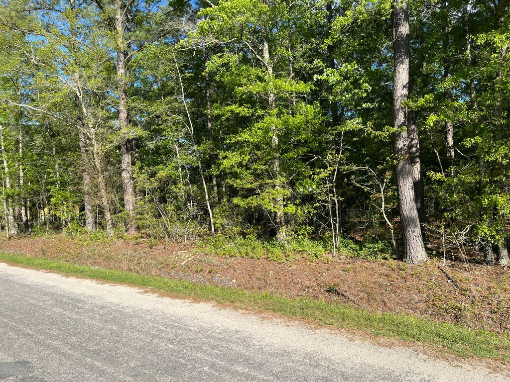 0 Sniders Highway, Walterboro, SC 29488