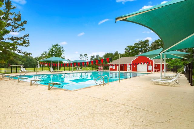 20934 Jessica Rose Lane, Spring, TX 77379