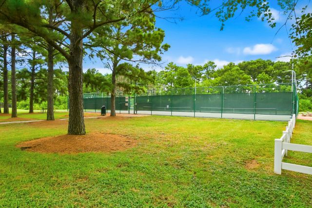 20934 Jessica Rose Lane, Spring, TX 77379