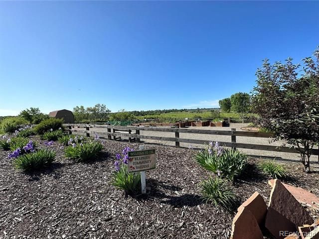 11635 Newton Place, Westminster, CO 80031