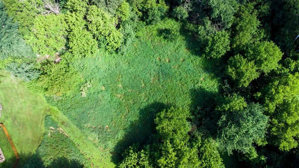 TBD 169th Avenue NE, Ham Lake, MN 55304