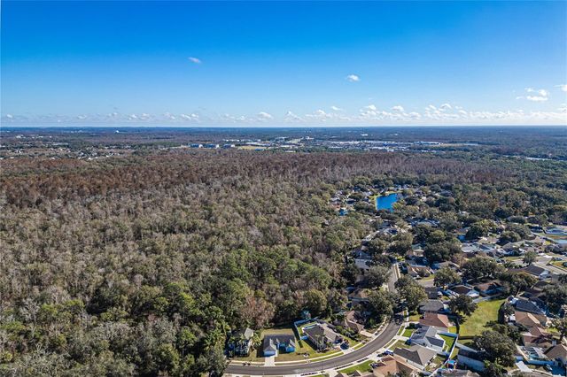 23986 TERRACINA COURT, Land O Lakes, FL 34639