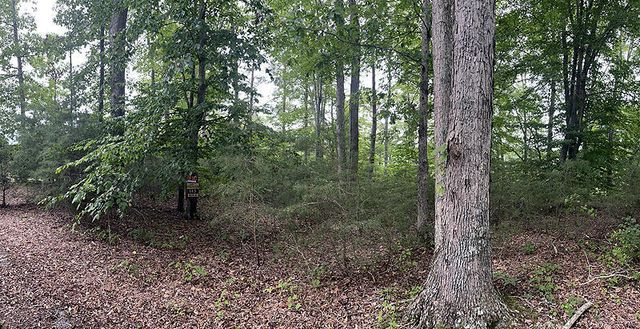 Lot 145 Stillwater, Russell Springs, KY 42642