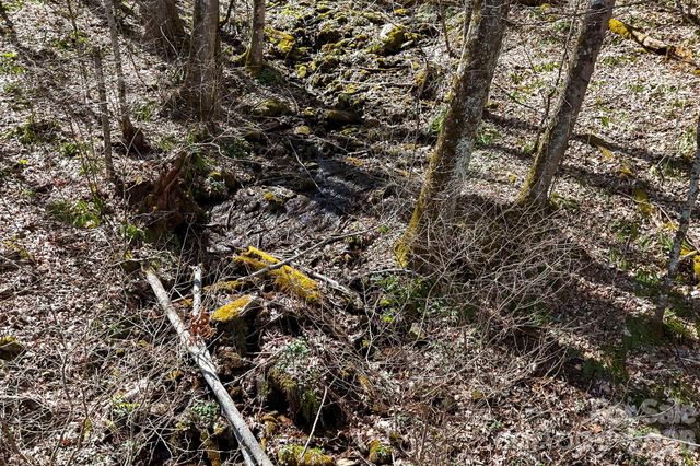 256 Inglewood Cove Road, Waynesville, NC 28786