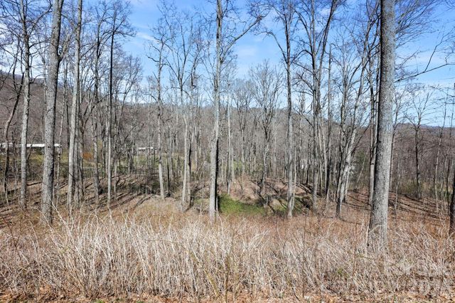 256 Inglewood Cove Road, Waynesville, NC 28786