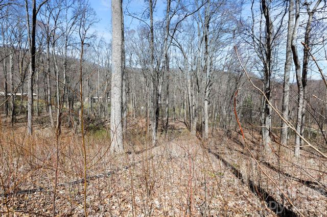 256 Inglewood Cove Road, Waynesville, NC 28786