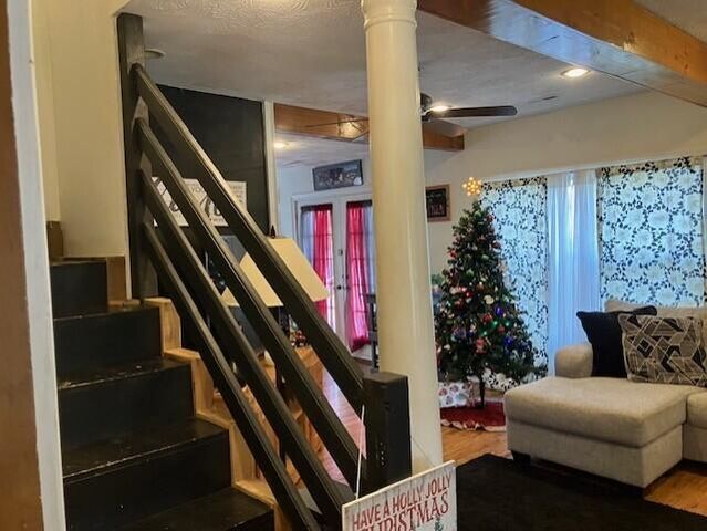 209 S Rush Street, Pleasant Hope, MO 65725