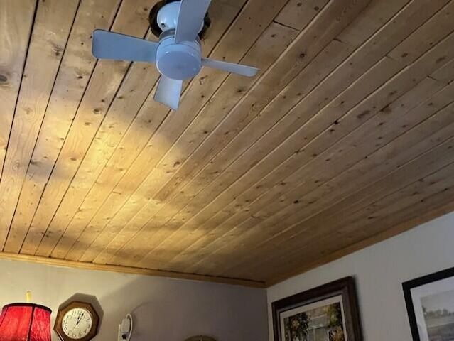 209 S Rush Street, Pleasant Hope, MO 65725