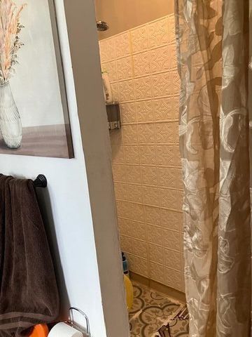 209 S Rush Street, Pleasant Hope, MO 65725