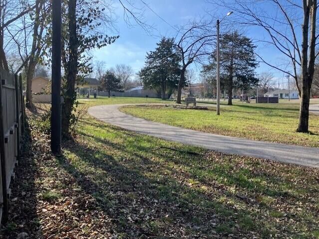 209 S Rush Street, Pleasant Hope, MO 65725