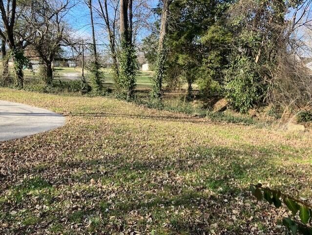 209 S Rush Street, Pleasant Hope, MO 65725