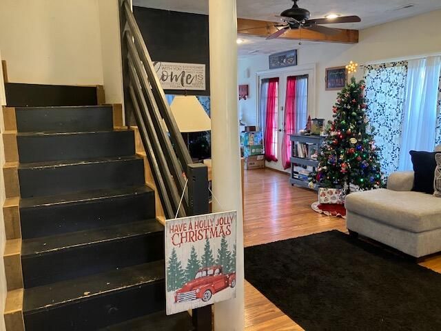 209 S Rush Street, Pleasant Hope, MO 65725