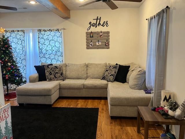 209 S Rush Street, Pleasant Hope, MO 65725