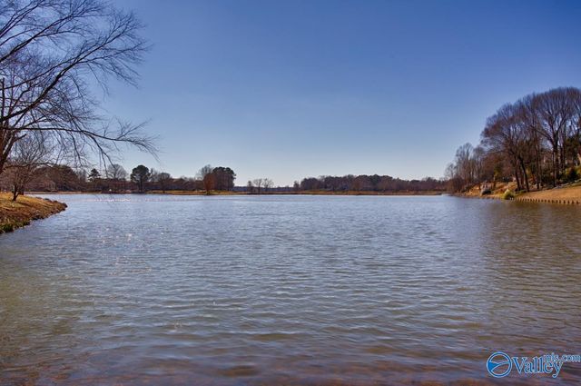 239 West Lake Circle, Madison, AL 35758