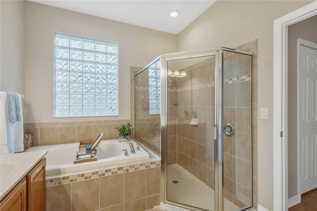 10859 BREAKING ROCKS DRIVE, Tampa, FL 33647