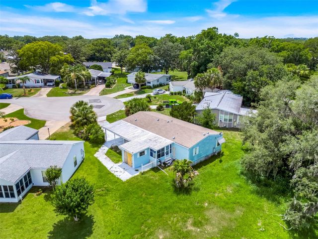 25224 WILD HERON, Leesburg, FL 34748