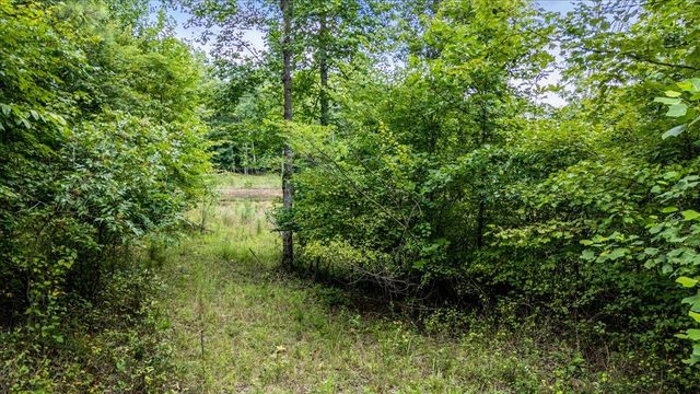 3685 Crockett Point Jf141, Jasper, TN 37347