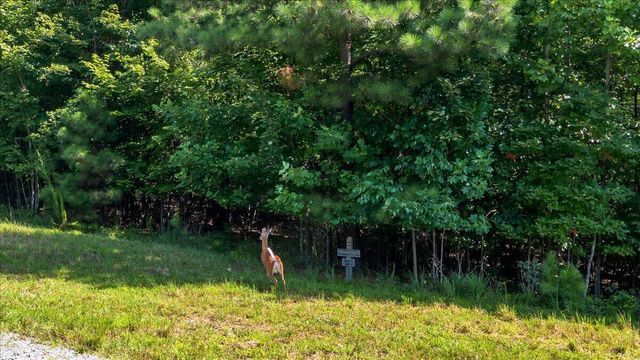 3685 Crockett Point Jf141, Jasper, TN 37347