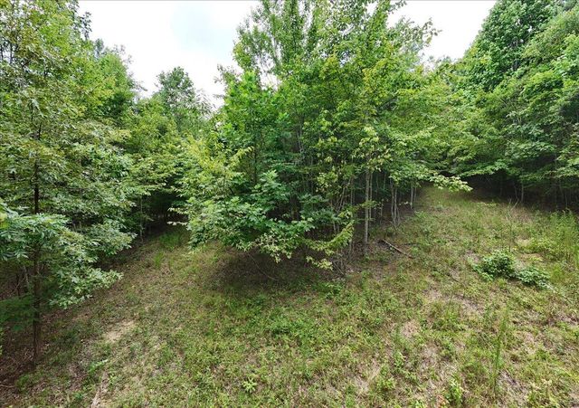 3685 Crockett Point Jf141, Jasper, TN 37347