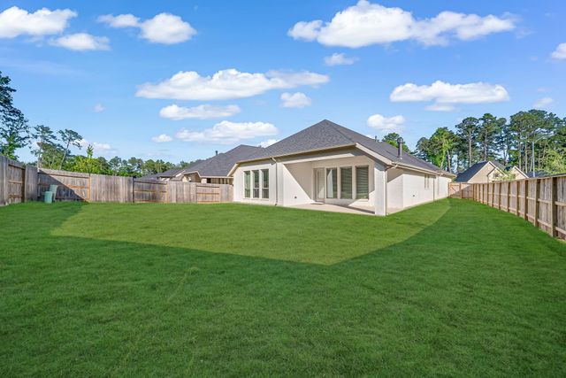 210 West Netleaf Court, Montgomery, TX 77316