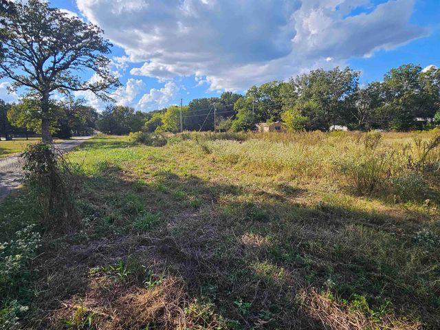 TBD FM 315 & CR 3316, Chandler, TX 75758