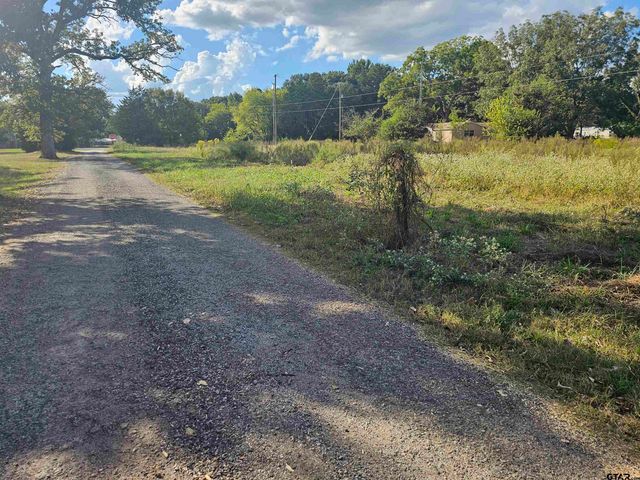 TBD FM 315 & CR 3316, Chandler, TX 75758