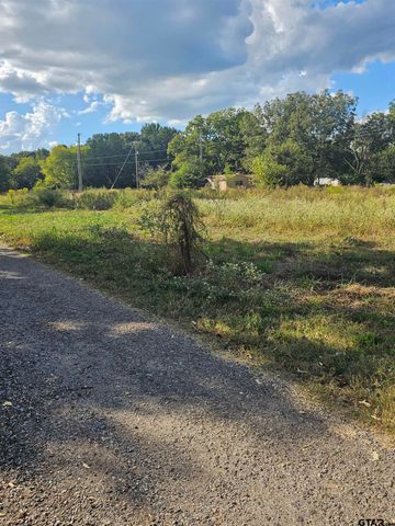 TBD FM 315 & CR 3316, Chandler, TX 75758