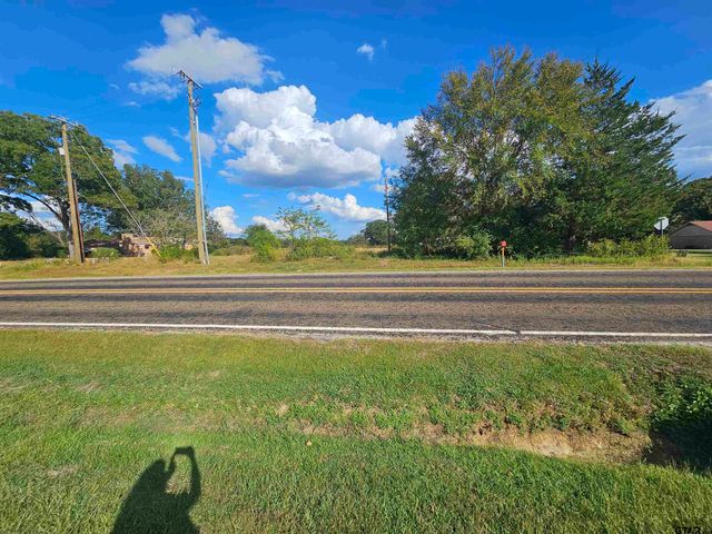 TBD FM 315 & CR 3316, Chandler, TX 75758