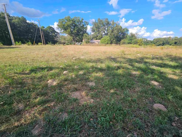 TBD FM 315 & CR 3316, Chandler, TX 75758