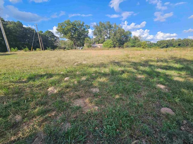 TBD FM 315 & CR 3316, Chandler, TX 75758