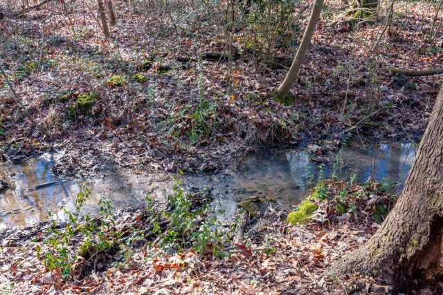 5 E Wotring Street, Rossville, GA 30741