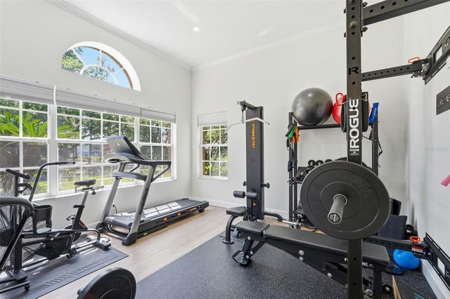 264 BLUE STONE CIRCLE, Winter Garden, FL 34787