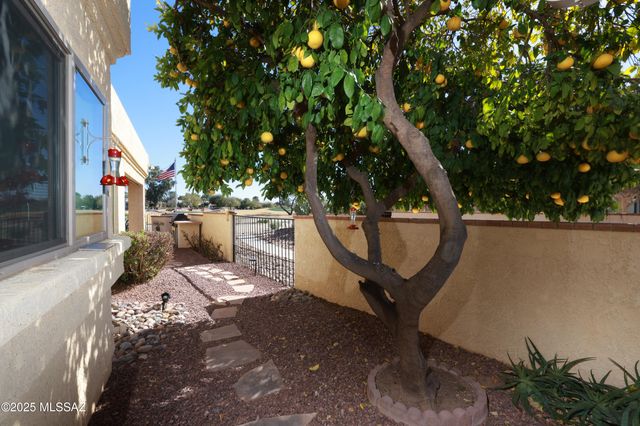 8674 N Arnold Palmer Drive, Tucson, AZ 85742