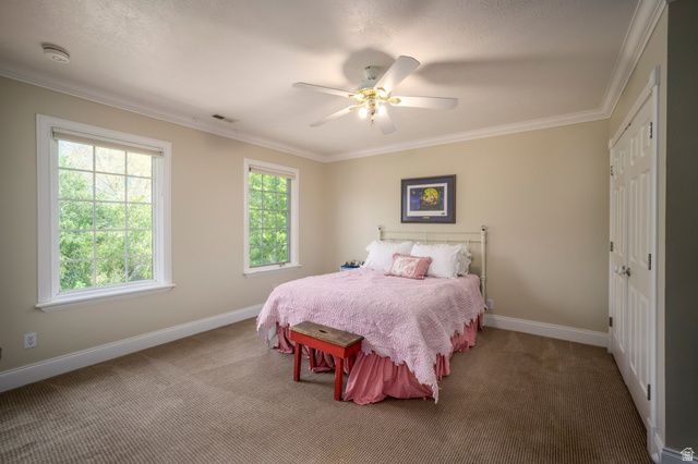 500 E 426 N, Alpine, UT 84004