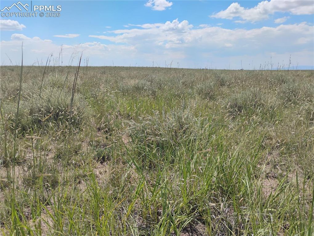 20370 Squirrel Creek Road, Colorado Springs, CO 80928 — photo 2