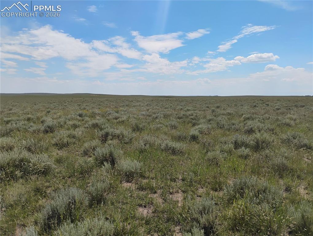 20370 Squirrel Creek Road, Colorado Springs, CO 80928 — photo 3