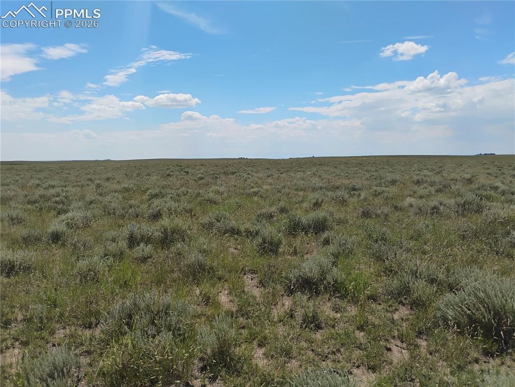 20370 Squirrel Creek Road, Colorado Springs, CO 80928 — photo 4