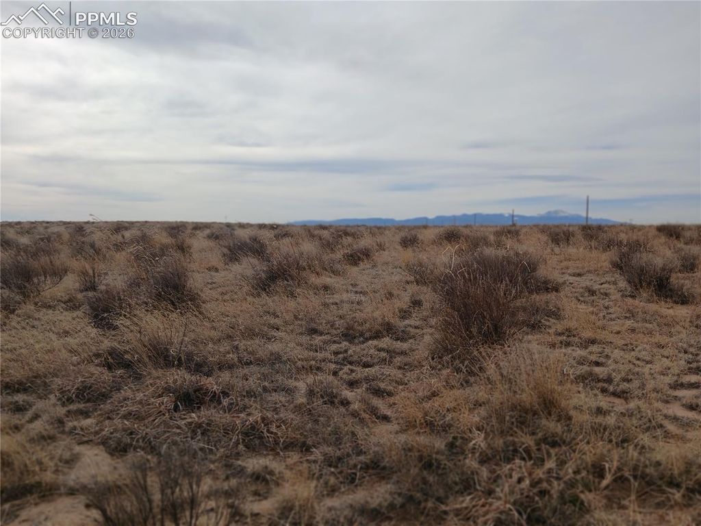 20370 Squirrel Creek Road, Colorado Springs, CO 80928 — photo 5
